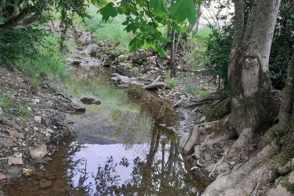 Studio Tout Confort Dans Maison De Caractere La Bastide  Eksteriør billede